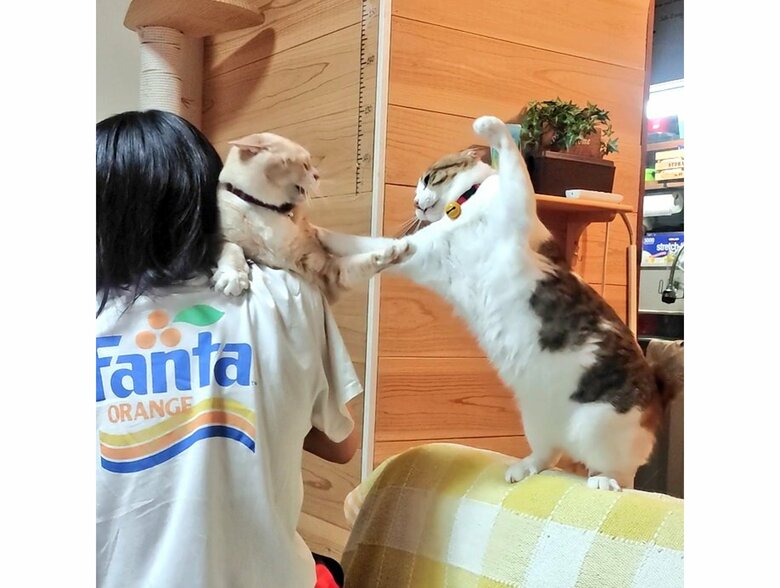 まるで映画のワンシーン（提供：nyaokoさん）