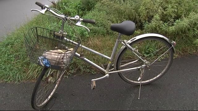自転車で帰宅途中子グマと衝突 32歳女性クマに襲われケガ <岩手・八幡平市>
