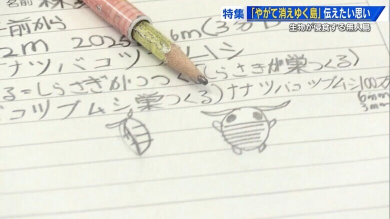 児童のノートにもナナツバコツブムシが