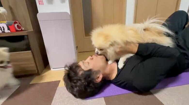 提供：愉快な3姉妹ポメラニアンちゃんねるさん