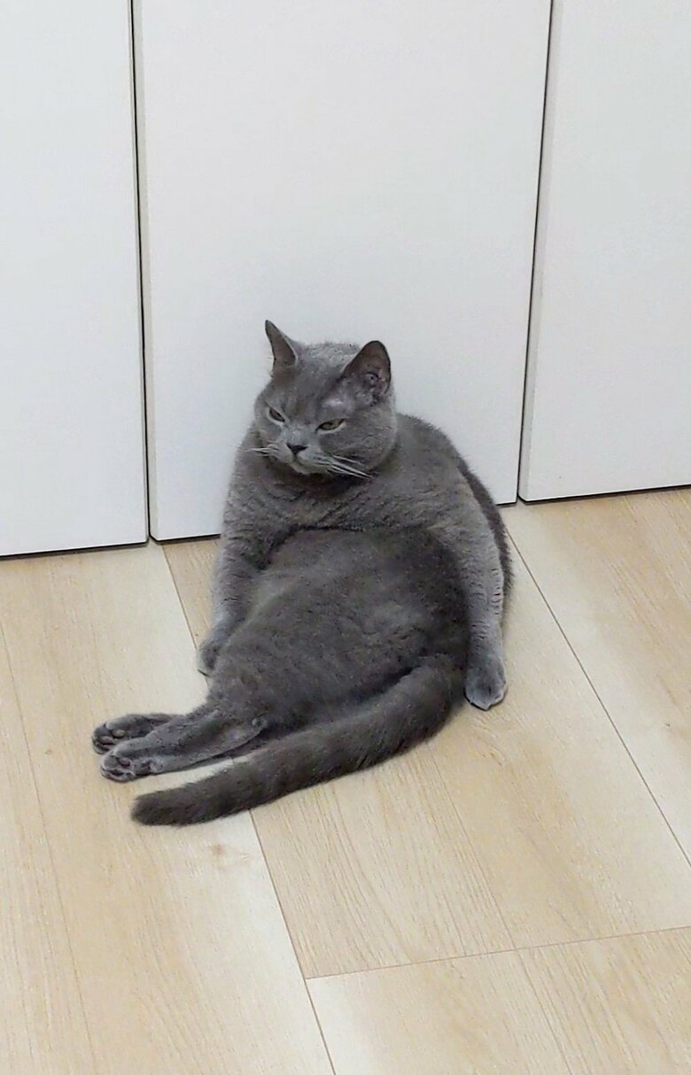 不思議な座り方の光太郎くん