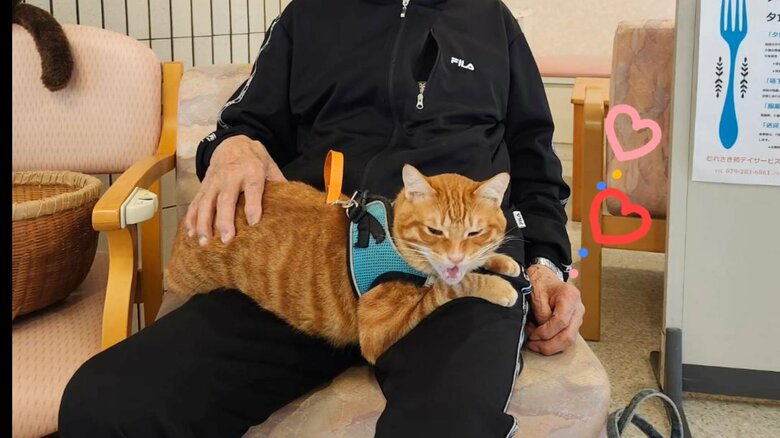 膝の上に乗るのが大好き