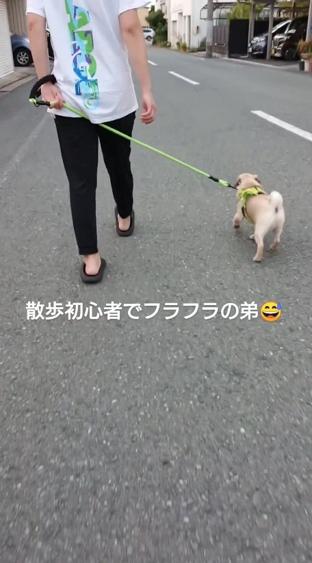 提供：たまごandおもちさん