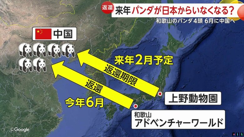 上野の2頭も2026年2月が返還期限