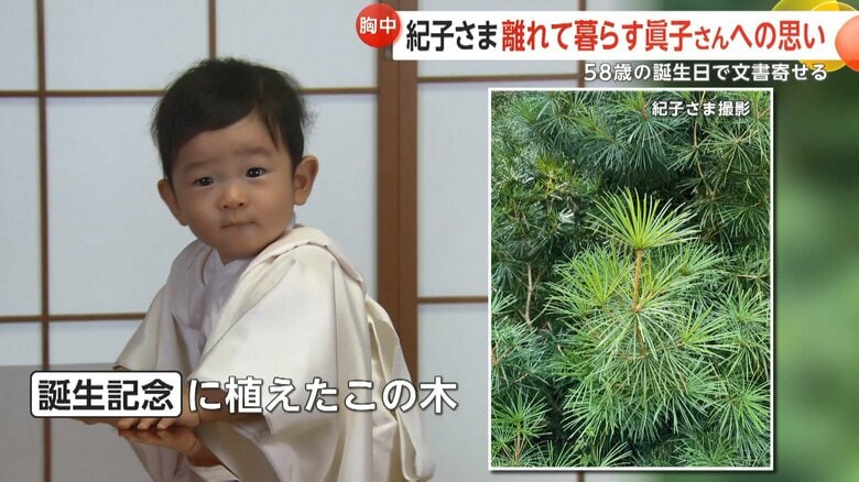 悠仁さまのお印「高野槙」。悠仁さま誕生の記念に植えられ、18年で10m以上の高さに育ったことを紹介された。