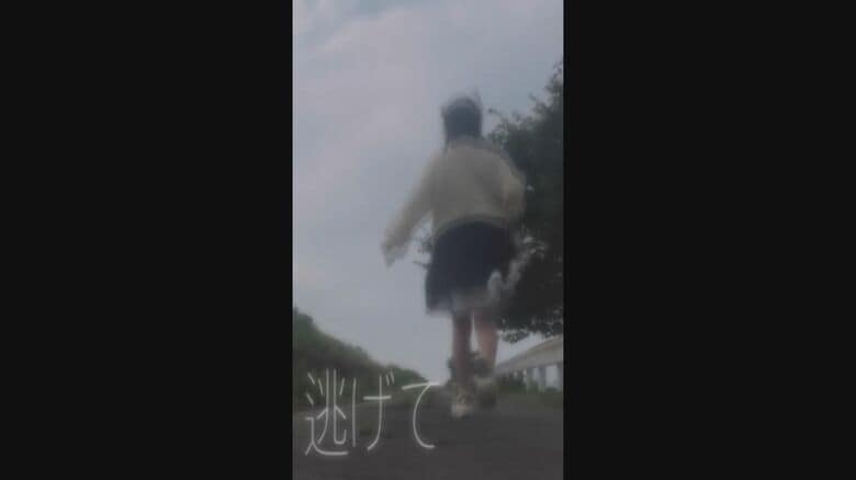 ヒナちゃんが制作した動画