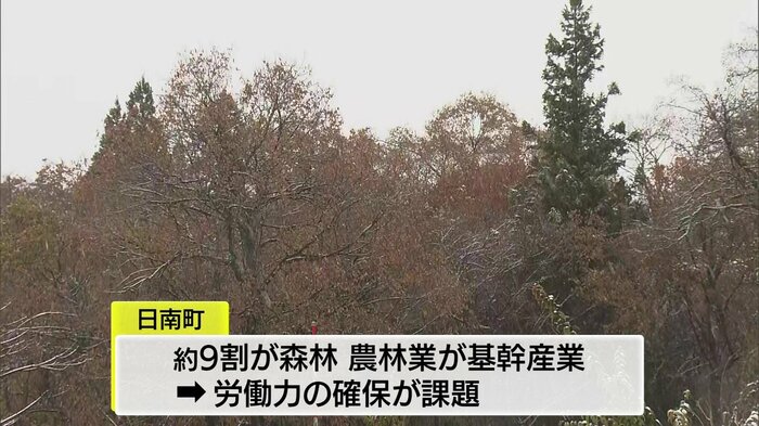 日南町の面積の9割が森林