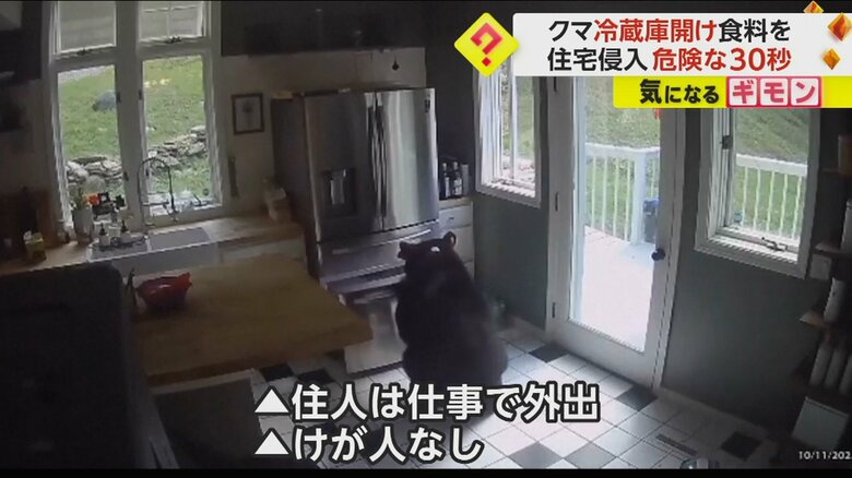 クマが侵入した住宅の住人は仕事で外出中、けが人はなし