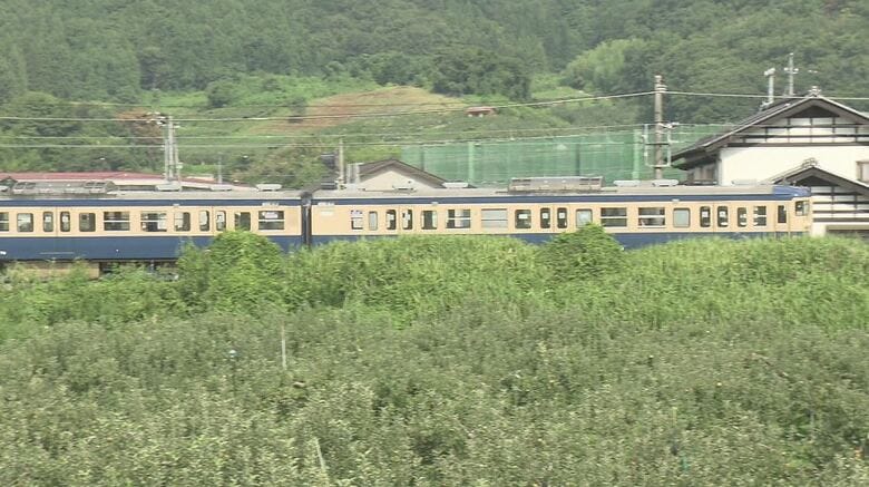 通称「横須賀色」の列車