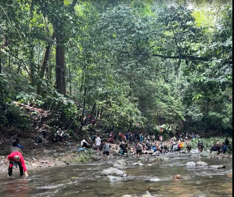 大人数でジャングルを移動することも