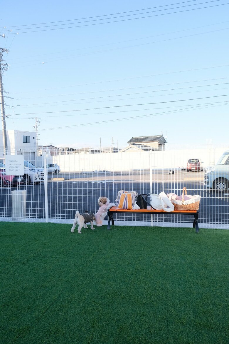 ドッグランが苦手でベンチに避難…