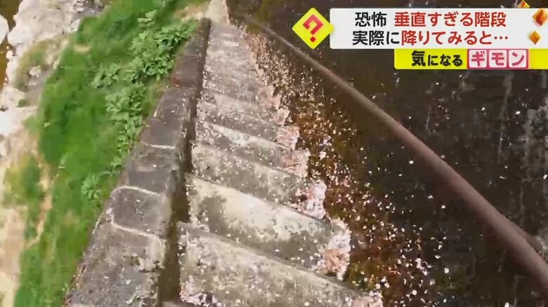 階段の上からの映像。階段は横幅が狭く、壁側に手すりが付いている