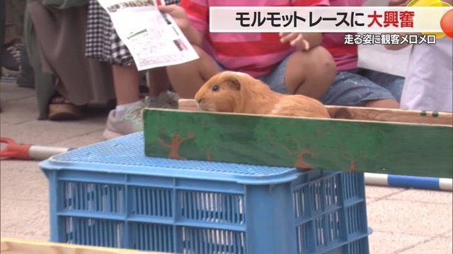 ゴール直前で…