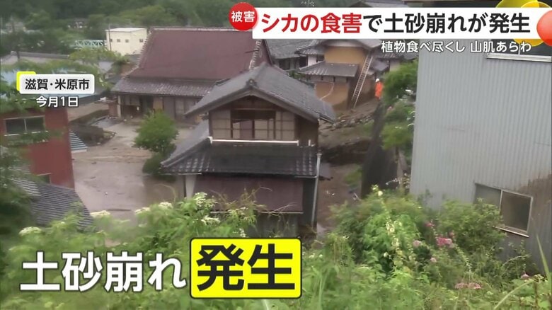大規模な土砂崩れが発生（1日、滋賀・米原市）