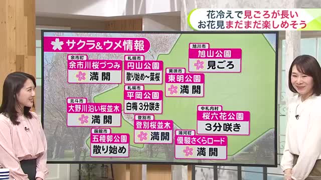 北海道【菅井さんの天気予報 29日(水)】あすは全道で晴れ　日中は日差しぽかぽか！ゴールデンウィークは短い周期て天気が変わる
