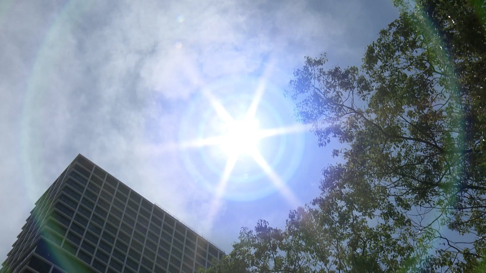 きょうも全国的に気温上昇…関東では40℃に迫るところも 災害級の猛暑に警戒　午後は関東中心にゲリラ雷雨に注意