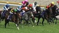 【今週から東京競馬場で5週連続G1開催！まずは3歳マイル王決定戦NHKマイルカップ】毎年波乱模様のマイル戦　紹介する穴馬が好走する予感！