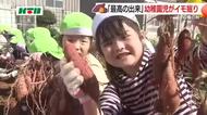 収穫の秋に園児たちがイモ掘り体験　農業センターでの「最高の出来」に歓声響く