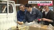 石川県産タケノコの出荷がスタート…今年は表年で豊作に期待「やっと始まった」
