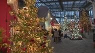 高さ8mのモミの木など…26本のクリスマスツリーなどが楽しめるフラワーショー デンパークで1/12まで