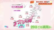 【高知】桜開花予想は3月21日、満開は29日頃　ウェザーマップが2回目の発表