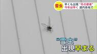 【冬の使者“雪虫”】早くも北海道各地で目撃情報「今年は雪が降るのが早いのかな」…秋が深まり紅葉が見ごろに…3連休を前に大勢の観光客でにぎわう「北海道はいいですよね」