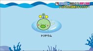 「信じられない」「超かわいい」福島県でも賛否両論 復興庁が作ったトリチウムを説明する動画