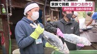 伝統の食文化知って 正月の保存食「潮かつお」作り家族で体験 静岡・西伊豆町