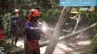 故郷の山林を守る「森の守り人」間伐材を薪に 広島市・戸山地区