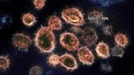 新型コロナウイルス 新たに15人感染 秋田
