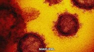 【感染状況】香川初インド型変異ウイルス・デルタを確認 新規6人感染 接種率1回目48.54%【香川】