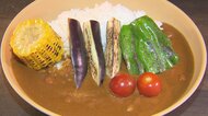 アルペンとココイチがコラボの「キャンプ用カレー」 ほぼ完売し追加生産する程人気に! 加える具材を想定し味つけ