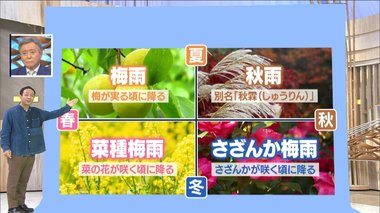 梅雨は年に4回ある!? 同じような“前線”による「夏の梅雨」と「秋雨」…雨の降り方はどう違う?