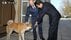 ロシア・プーチン大統領に贈られた秋田犬「ゆめ」死ぬ　東日本大震災…