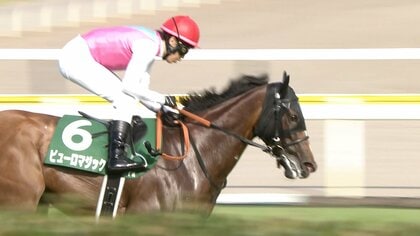 【アイビスサマーダッシュ・G3】ピューロマジックが圧巻の日本レコードV！田辺裕信騎手代打騎乗で今年3勝目