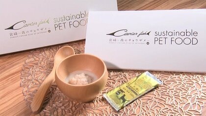 チョウザメがペットフードに　キャビアだけじゃない「魚肉は栄養の宝庫」　かつての乱獲に胸を痛め開発【宮崎発】