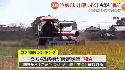 今年も「さがびより」と「夢しずく」が特A評価 2025年産の食味ランキング【佐賀県】