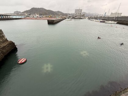 海がよみがえる、循環のはじまり。鴨川フィッシャリーナに「生きたブロック」を設置した日。