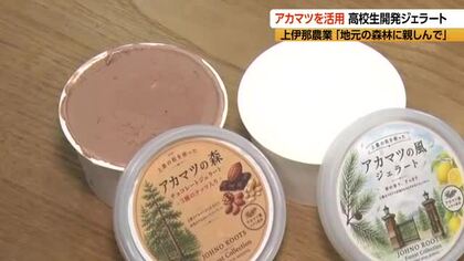 1時間で180個が売れる！高校生が開発“アカマツ”のジェラート　その味は？「深い森を感じる香りが口の中に広がる」　学校の葉から香りを抽出し試作重ねる「地元の森林に親しんで」　長野