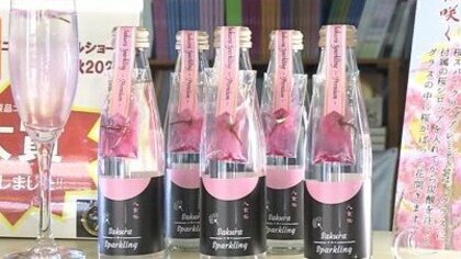 グラスの中で八重桜が花開く…“映える”新感覚ノンアルソーダ　農家の思いが詰まった1本【高知発】