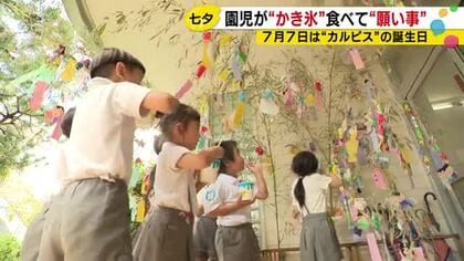 七夕×カルピス107歳の誕生日！金沢の園児たちが笑顔でかき氷を頬張る理由とは？