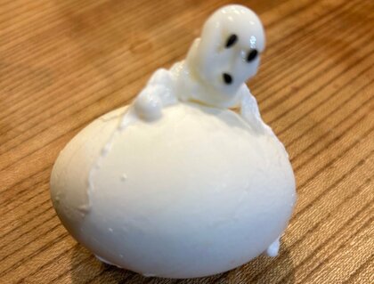 毎朝のゆで卵から「なんか生まれたら」写真送付…74歳父のささやかな趣味にほっこり！他の“はみ出し生物”も見せてもらった