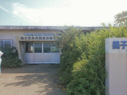 サウンディング型市場調査の実施