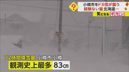 雪降る日 Warning] What I felt while driving a Land Cruiser 250 in a
