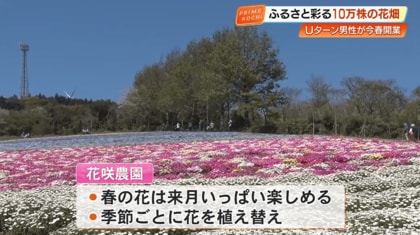 天国みたい」耕作放棄地を10万株の花が咲き誇る“花畑”へ再生 高知・大