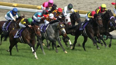 【今週から東京競馬場で5週連続G1開催！まずは3歳マイル王決定戦NHKマイルカップ】毎年波乱模様のマイル戦　紹介する穴馬が好走する予感！