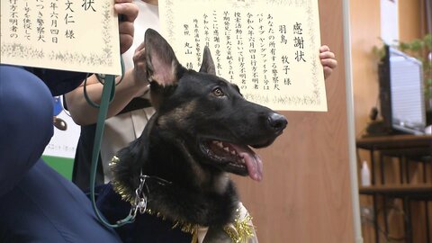嘱託警察犬「おはぎ号」がデビュー戦で大活躍！行方不明の高齢女性を発見し感謝状　埼玉県警