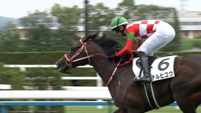 新馬戦を制したテルヒコウ