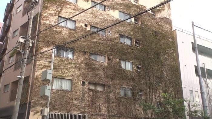 裏を見ると5階部分までツタがびっしりと…。