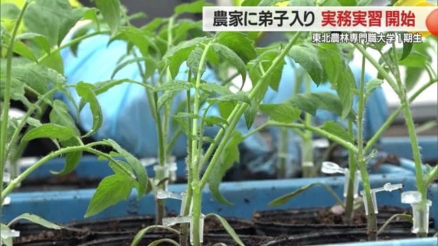 “農業の現場”で実習できる機会は、学生にとっては貴重な時間